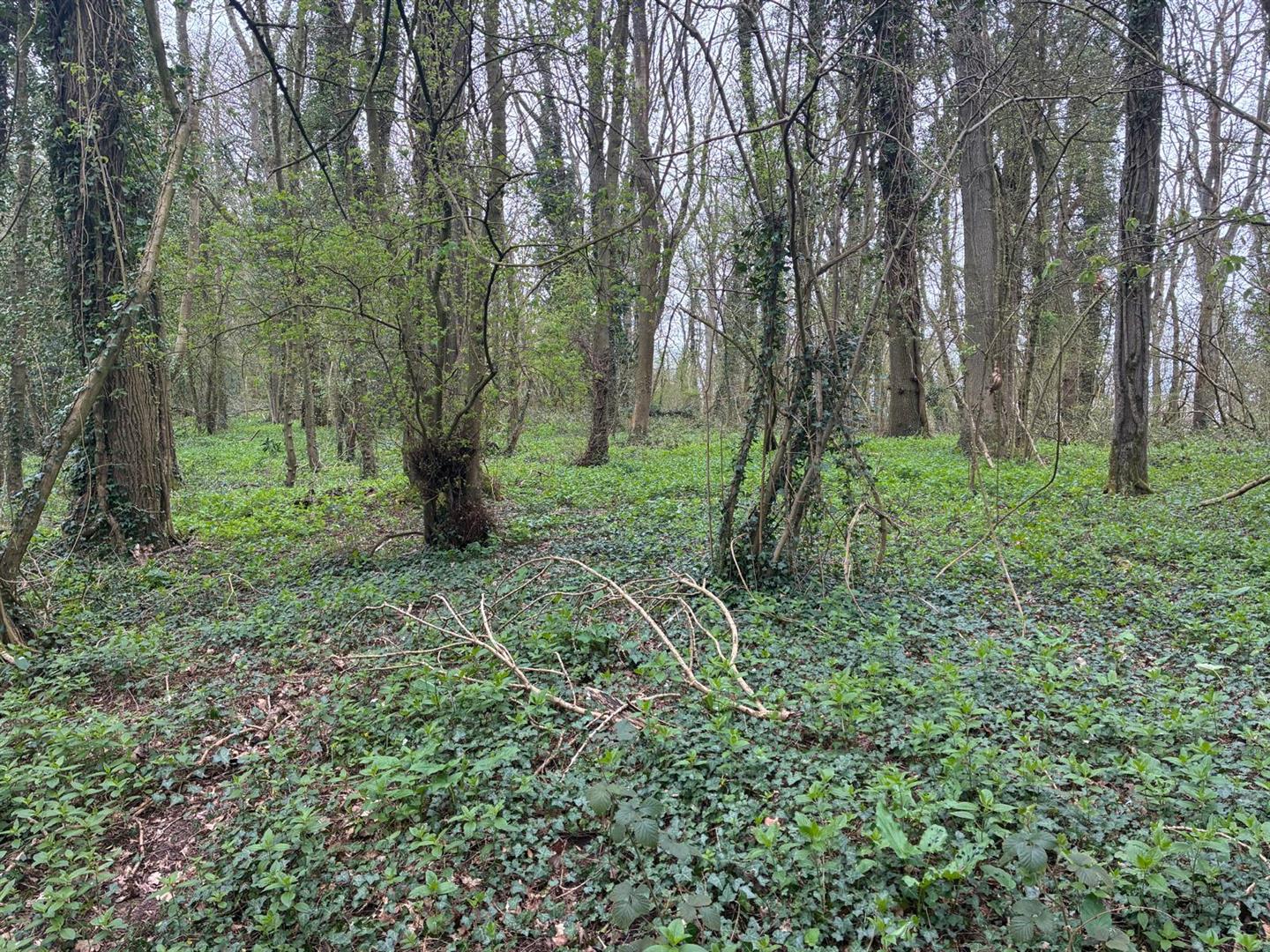 Image of Little Dewchurch, Hereford